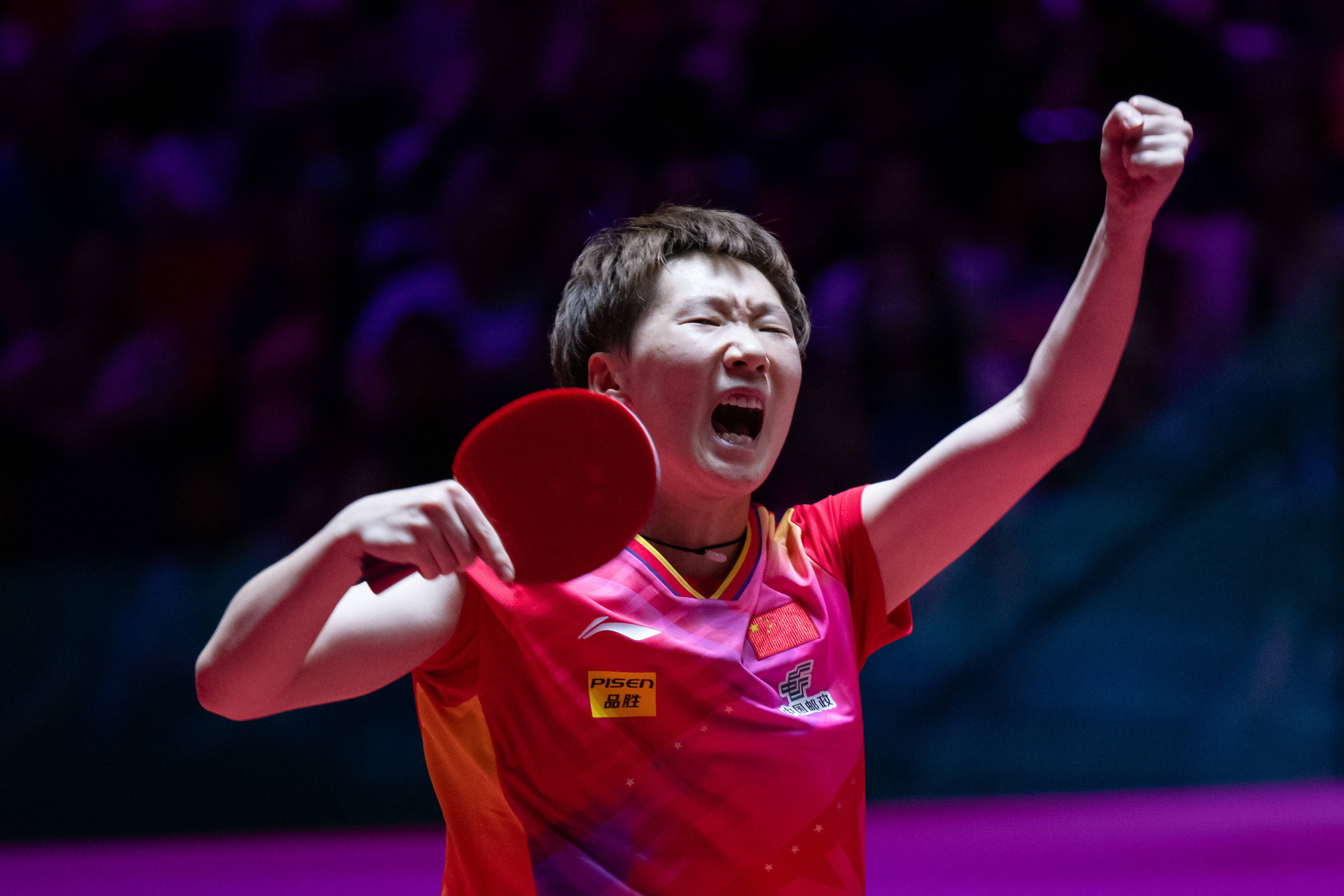 料的连胜战 料的连胜战