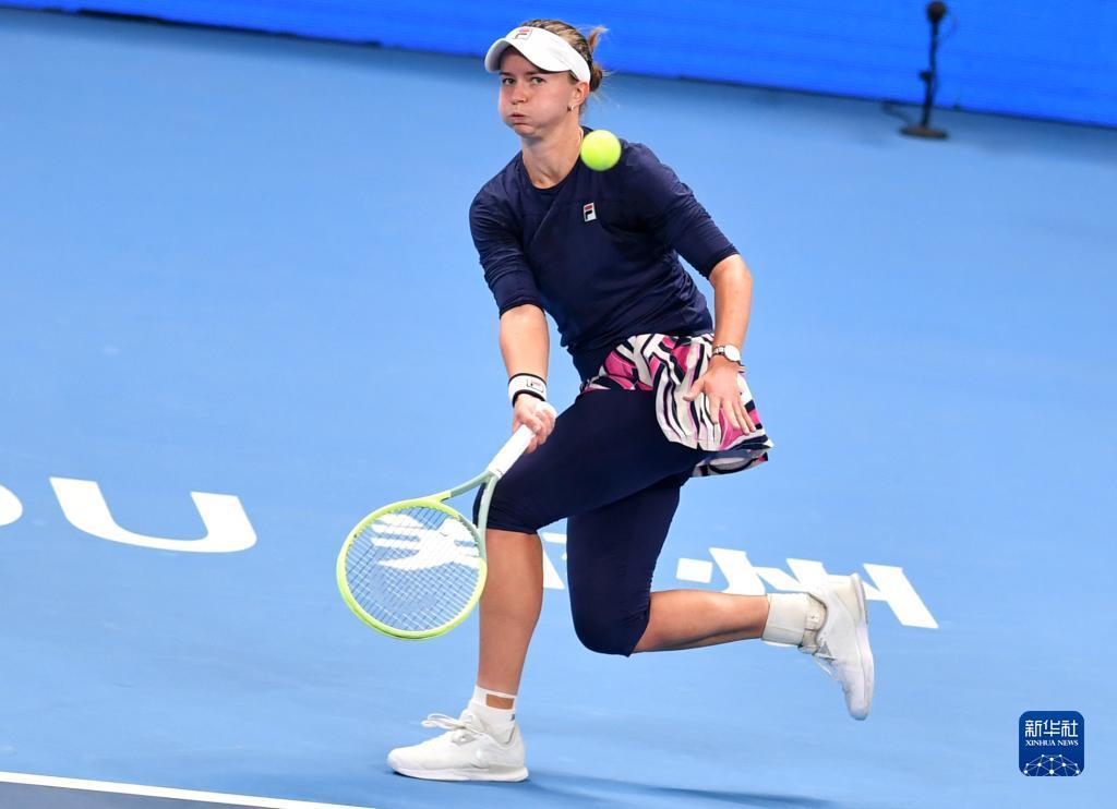 国市场占据 国市场占据